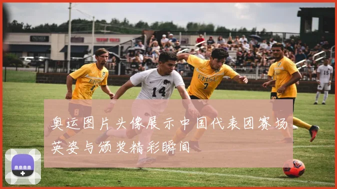 奥运图片头像展示中国代表团赛场英姿与颁奖精彩瞬间