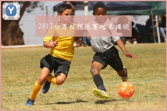 2017世界杯预选赛结果揭晓