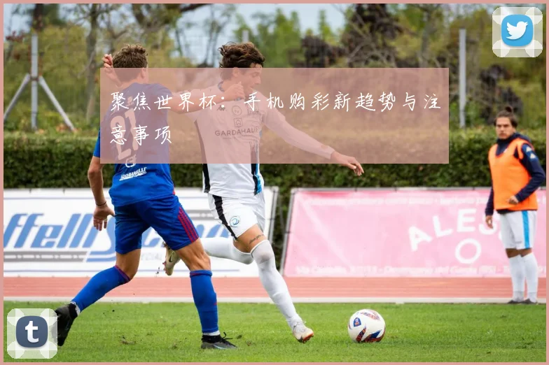 聚焦世界杯：手机购彩新趋势与注意事项
