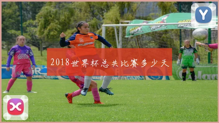 2018世界杯总共比赛多少天