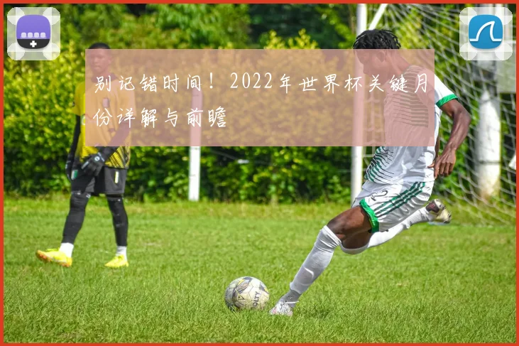 别记错时间！2022年世界杯关键月份详解与前瞻
